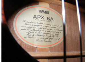 Yamaha APX6A