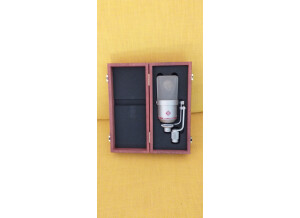 Neumann TLM 170 R (84303)