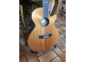 Cort SFX5-12 (58046)