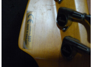 Trace Elliot T Bass (29735)