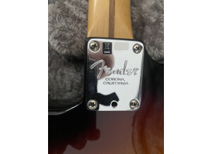 Fender American Professional Stratocaster HH Shawbucker