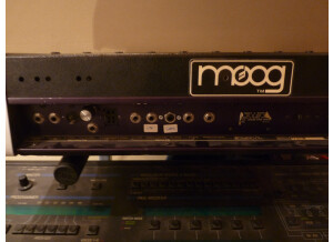Moog Music MicroMoog (14349)