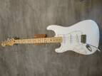 Fender Player Stratocaster
