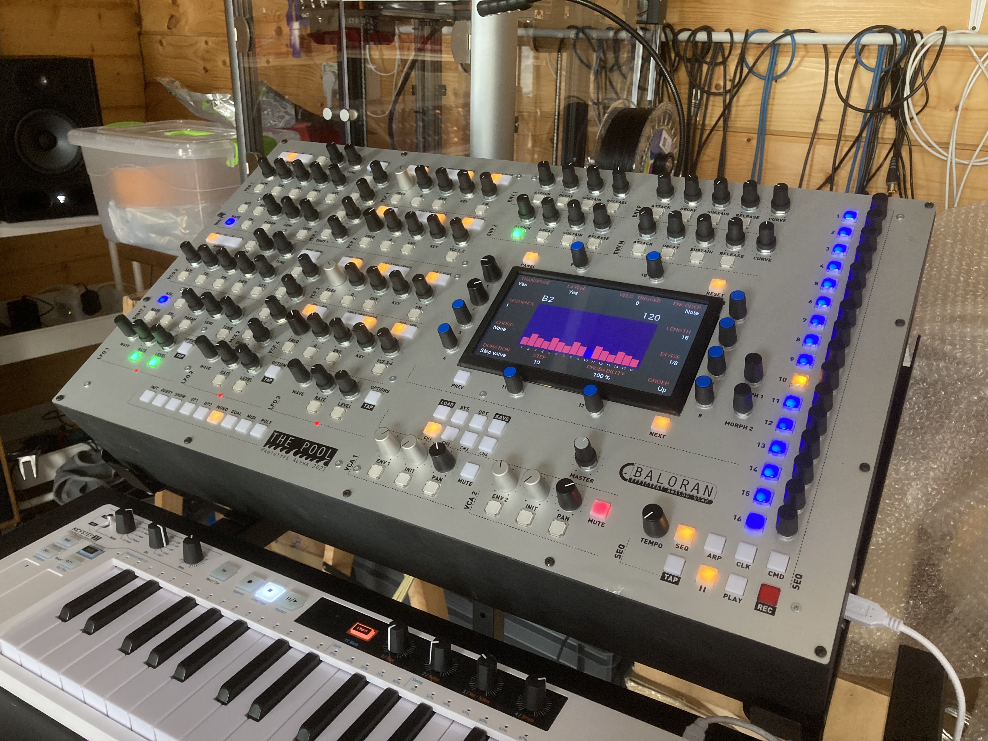 Baloran The Pool : Baloran The Pool (10708)