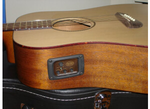 Tacoma Guitars DM9 (465)
