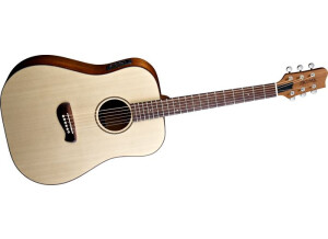 Tacoma Guitars DM9 (93564)