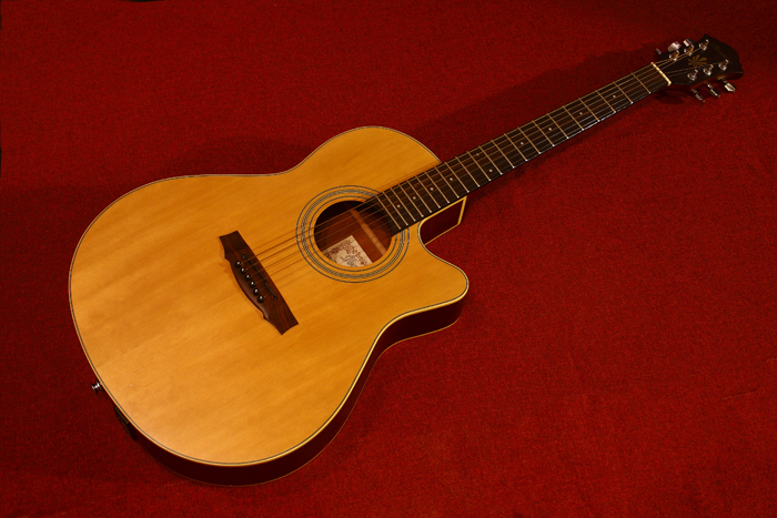 ibanez ae20