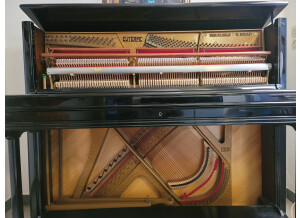 Native Instruments Akoustik Piano