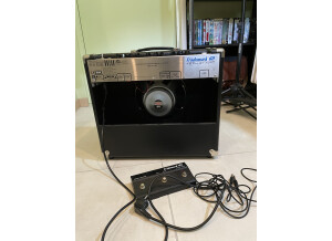 Tech 21 Trademark 60 1x12 (43801)