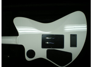 Fernandes Vertigo elite (95404)