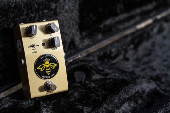 QueenBee-6 QueenBee-6