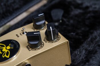 QueenBee-13 QueenBee-13