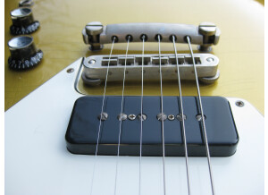Fano Guitars PX6 (69435)
