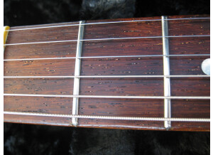 Fano Guitars PX6 (22912)