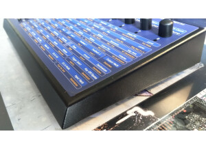 Dave Smith Instruments Evolver (48533)