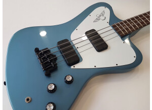 Gibson Non Reverse Thunderbird Bass (66393)