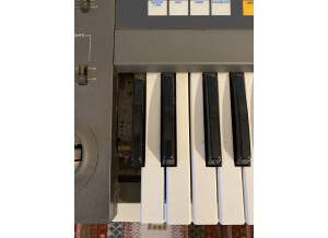 Roland JX-8P (62462)