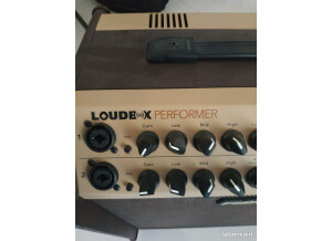 Fishman Loudbox Performer (26823)