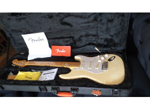 Fender American Standard Stratocaster [2012-2016] (98661)