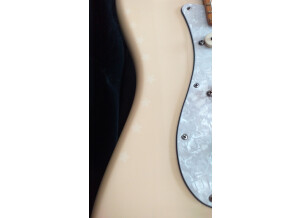 Fender American Standard Stratocaster [2012-2016] (60309)
