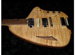 Steinberger Headless Hollow Body Chris Forshage (92539)