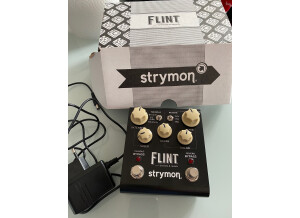 Strymon Flint (9013)