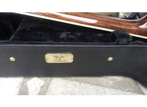 Fender PM-3 Deluxe Triple-0 (5600)