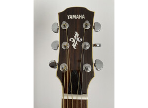Yamaha APX700 (30484)