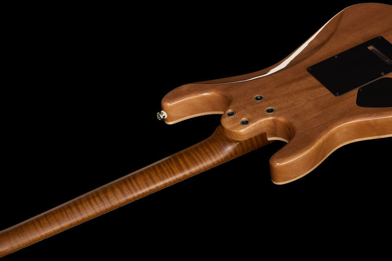 Fusion-III HH Roastedneck