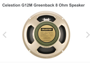Celestion G12M Greenback (3711)