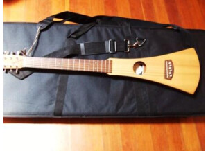 Martin & Co Steel String Backpacker Guitar (74968)