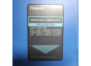 Roland D-110 (53458)