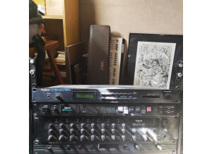 Roland D-110 (56653)