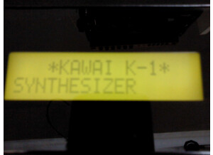 Kawai K1 (9914)