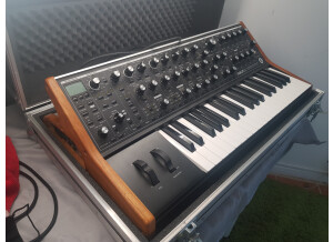 Moog Music SUB 37 (71954)