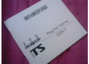 Ensoniq ASR-10R (5780)