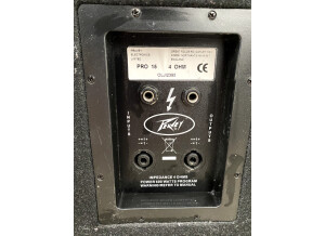 Peavey Pro 15 (81540)