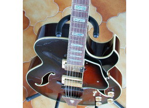 Ibanez AK95 (68659)