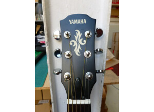 Yamaha [APX Series] APX4A