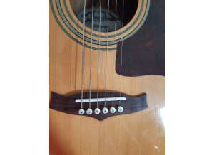 Tanglewood TW170 AS CE