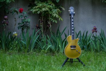 GoldGlory-25 GoldGlory-25