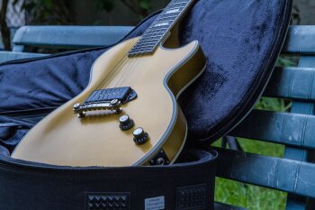 GoldGlory-16 GoldGlory-16