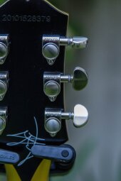 GoldGlory-11 GoldGlory-11