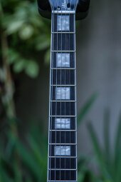 GoldGlory-12 GoldGlory-12