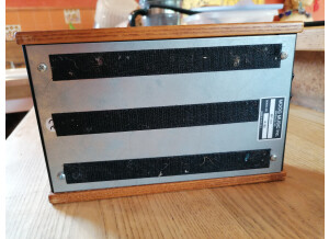 Moog Music MF-101 Lowpass Filter (34200)