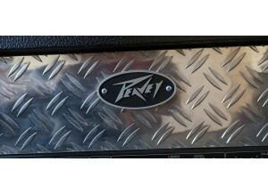 Peavey ValveKing 100 Head (94139)