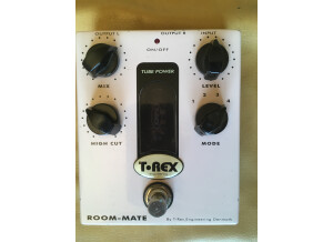 T-Rex Engineering Room-Mate
