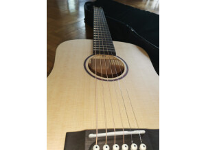 Cort Earth-Mini (54833)