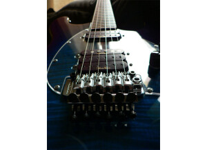 MusicMan Steve Morse