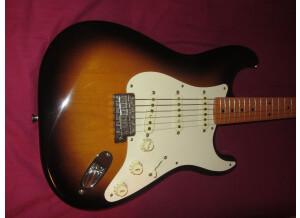 Fender Classic '50s Stratocaster (49256)